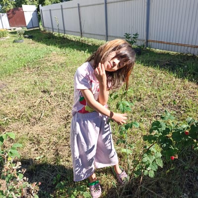 In a rural outdoor setting in Podlubovo, Russia, a young girl with long, sun-streaked brown hair is pictured on a sunny day. She is wearing a pink t-shirt with strawberry graphics and light purple culottes. Her left hand is raised to her face, with her fingers gently touching her cheek and chin, and her head is tilted to the side, giving her a contemplative and slightly shy expression. She is standing near a raspberry bush, with one hand extended towards it. The ground is covered with dry grass and some patches of green growth, suggesting a warm season. In the background, a white metal fence runs along the property, with a section of a brown corrugated metal fence to the left. Trees are visible behind the fence. The lighting indicates it is daytime, likely late morning or early afternoon, with strong sunlight casting shadows.