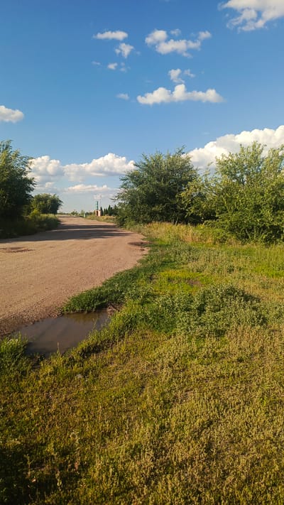 The image depicts a rural scene in Золотая Степь, Russia. A dirt road curves to the left, bordered by lush green trees and vegetation on both sides. In the foreground, to the left of the road, a small puddle of muddy water reflects the sky. The sky is a bright blue, dotted with fluffy white clouds, suggesting a pleasant day. The sunlight casts shadows across the road and vegetation, indicating it is likely daytime, possibly late afternoon due to the warm lighting. In the distance, along the road, a tall, slender green structure with a red base is visible, possibly a signpost or marker. The overall atmosphere is peaceful and serene, characteristic of a rural landscape. There is no visible text in the image.