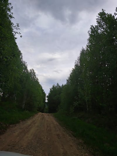 The image depicts a dirt road leading into a forest near Gremyachinsk, Russia. Trees line both sides of the road, partially obscuring the sky. The sky is overcast with grey clouds. There are no people visible in the frame. The dirt road shows signs of vehicle traffic. Grass and other vegetation grow along the edges of the road.
