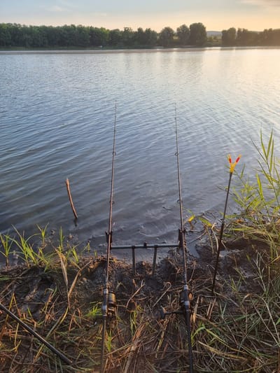 Two fishing rods are set up on the muddy bank of a calm lake. The rods are positioned in a black rod pod, with one rod on the left and another on the right. The rod on the right has a yellow and red bite indicator attached to it. Reeds and tall grass grow along the bank, and a submerged wooden stick is visible in the shallow water near the left rod. The water stretches out to a tree-lined horizon under a clear sky with a soft gradient of pale blue to pale orange, indicating either sunrise or sunset. The scene is located in Văsieni, Moldova.