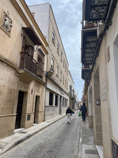 The image depicts a narrow street scene in Jerez De La Frontera, Spain. The street is paved with cobblestones and flanked by buildings of varying heights and architectural styles. The buildings are primarily constructed of beige stone or brick, featuring windows with metal grilles, decorative awnings, and occasional architectural details. A tall building is situated in the center of the frame. A speed limit sign, indicated by the number 10 within a red circle, can be seen. Two people are walking along the street, one clad in light-colored pants and the other in dark attire, with one carrying a green bag. The sky above is overcast with a muted palette of gray.