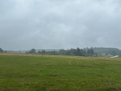 The image depicts a wide, slightly undulating green meadow in Kalnmuiža, Latvia, under a heavily overcast sky. The grass in the foreground is lush and varied in height, with some patches of drier, yellowish-brown grass interspersed. Darker, small clumps of cut grass or debris are visible scattered across the meadow.

In the middle ground, a transition zone of taller, dried grass or grain separates the immediate meadow from a distant treeline. Beyond the treeline, rolling hills are covered in dense forest, their contours softened by the atmospheric haze.

Further to the right in the middle ground, a small, dark-colored building with a lighter-colored roof is partially visible among the trees. A white vehicle is parked in front of it. A dirt road or track winds its way through the landscape towards the right.

A brightly colored, green structure, possibly a slide or a recreational feature, is positioned on a grassy slope in the far right middle ground. Several other smaller structures or buildings are scattered in the distance on the right. The overall impression is of a rural, possibly recreational, outdoor setting on a day with poor visibility due to cloud cover.