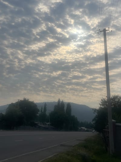 The image depicts a serene street scene in Taran-Bazar, Kyrgyzstan, characterized by a cloudy sky and a mountainous backdrop. The foreground features a paved road with clear lane markings and a sidewalk. To the right of the road, a wooden utility pole stands tall, supporting multiple overhead wires. Adjacent to the road and sidewalk, lush green grass and vegetation are visible, interspersed with a low brick wall and a wooden fence. Further into the scene, trees line the street, casting shadows and adding to the natural ambiance. In the distance, a range of mountains is shrouded in a soft haze, their peaks blending with the overcast sky. The overall impression is one of tranquility and natural beauty, with subtle hints of human presence through the infrastructure and fencing.
