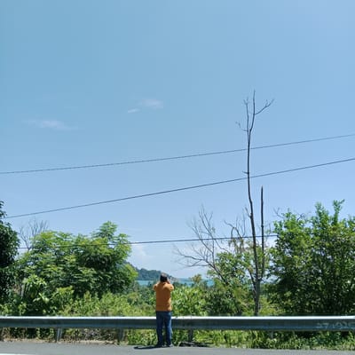 In Layeun, Indonesia, a lone individual stands facing away from the camera, wearing an orange t-shirt and blue jeans. The person is positioned on a road beside a metal guardrail, with their hands raised to their face, possibly taking a photograph or using a phone. The background features a vibrant landscape of lush green trees and vegetation, with a body of water, likely the sea, visible in the distance, dotted with small islands or headlands. The sky is clear and blue, with a few wispy clouds. Overhead, power lines stretch across the frame, supported by poles, one of which is a bare, skeletal tree. The overall scene captures a moment of solitary observation of the natural beauty.