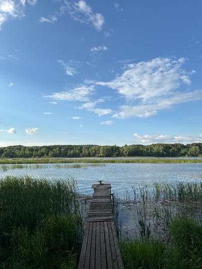 The image depicts a serene lakeside scene in Burdyata, Russia. A weathered wooden pier extends into a calm body of water, flanked by lush green reeds and tall grass on either side. The water's surface is gently rippled, reflecting the clear blue sky dotted with scattered white clouds. In the distance, a dense forest of green trees forms a natural horizon line. The overall impression is one of tranquility and natural beauty, characteristic of a rural landscape. There are no people or animals visible in the image. The pier appears old and somewhat worn, suggesting it has been in place for some time. The vegetation is vibrant and healthy, indicating a favorable growing season. The lighting suggests it is daytime, likely late afternoon or early evening, given the soft quality of the light.