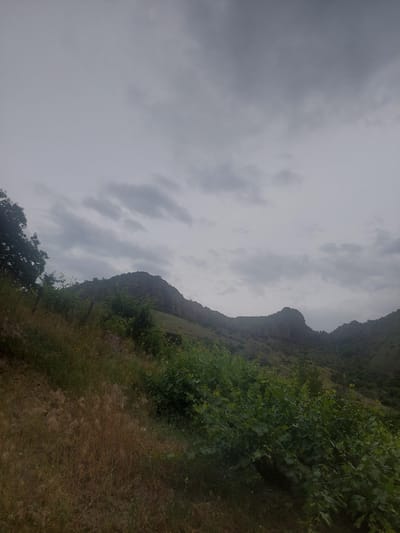 The image depicts a cloudy, overcast day in the vicinity of Areni, Armenia, showcasing a rural landscape dominated by rolling hills and rugged mountain formations. The foreground is a steep, overgrown slope covered in dry, golden grasses and vibrant green bushes, some of which appear to be vines. A few thin, dark poles, possibly part of a fence or vineyard support, are visible on the slope.

In the middle ground, the terrain rises to reveal rocky hillsides dotted with sparse vegetation. The shapes of the hills are irregular and weathered, with visible ridges and outcrops. A dark, indistinct object, potentially a building or structure, is visible on the far right side of the middle ground.

The background is characterized by a series of larger, dark-hued mountain peaks that recede into the distance. The sky is heavily clouded, with patches of lighter gray and darker gray, suggesting a uniformly overcast and possibly humid atmospheric condition. The overall scene conveys a sense of rugged natural beauty and a somewhat muted, natural light. No people or animals are visible in the image.