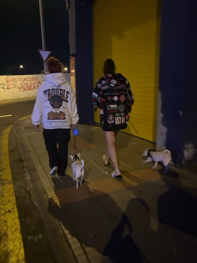 Two individuals and two small dogs are depicted walking away from the camera on an urban street or sidewalk at night. The scene is illuminated by artificial light sources.
The individual on the left has reddish-brown hair and wears a white hooded sweatshirt with the word "TROUBLE" prominently displayed above a graphic of a crowned teddy bear. They wear dark trousers and white shoes, and hold a blue leash attached to a small, light-colored dog wearing a dark harness. This dog walks directly in front of them.
The individual on the right has dark hair and wears an oversized dark jacket covered in multiple patches. They wear shorts or a short skirt and light-colored slip-on sandals. A second small, light-colored dog walks to their right, without a visible leash.
In the background, a light-colored wall features red graffiti, partially legible as "NO ES TURISMO ES COLONIAL TANER". An inverted triangular sign is mounted on a pole nearby. To the right, a building features a dark blue exterior wall with a large, bright yellow industrial-style door or shutter. The ground includes a paved sidewalk adjacent to a street marked with a yellow painted curb line. Distant streetlights are visible. The precise location within the city of San Fernando, Spain, is not identifiable from these visual details.