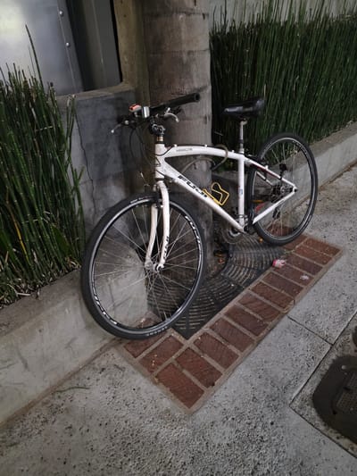 A white Fuji Absolute bicycle is parked upright next to a palm tree on a sidewalk in Burbank, California. The bicycle has black handlebars, a black seat, and black tires with silver rims. A yellow water bottle cage is attached to the frame. The bicycle is leaning against the tree and is also secured by a cable lock. The sidewalk is made of concrete with a brick pattern inlaid. Tall, green plants are growing along the side of the sidewalk. A metal grate is visible on the ground near the bicycle.
