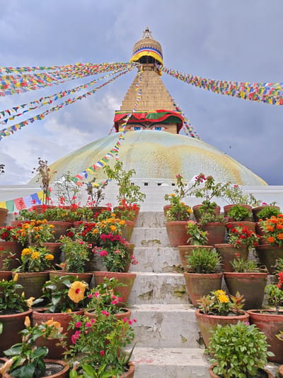 This image captures the Boudhanath Stupa in Gokarneshwar, Nepal, a significant Buddhist pilgrimage site. The stupa, an imposing dome structure, is adorned with prayer flags that stretch across the frame, creating a vibrant, colorful canopy against a cloudy sky. The iconic eyes of Buddha are visible on the stupa's tiered upper section. In the foreground, a steep, stone staircase is lined with numerous terracotta pots filled with a variety of flowering plants, including marigolds, hibiscus, and roses, adding a lush, botanical element to the scene. The plants are in various stages of bloom, with some showing vibrant colors and others still developing buds. The stone steps show signs of wear and tear, with peeling paint and a slightly weathered appearance. No people are visible in the image. The overall atmosphere is serene and spiritual, with a strong emphasis on the cultural and natural beauty of the location.