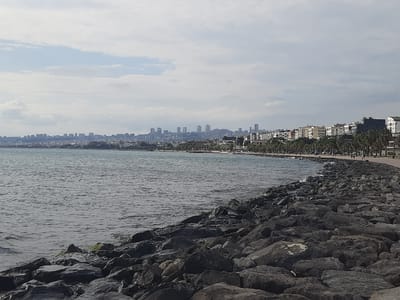 This is a wide-angle, eye-level, outdoor photograph taken on a cloudy day. The image depicts a coastal scene with a city skyline in the background and a rocky shoreline in the foreground.
The foreground is dominated by a large expanse of dark, irregularly shaped rocks, forming a breakwater or embankment. Some of these rocks are covered with green moss. The sea occupies the left side of the image, with gentle ripples on its surface, reflecting the overcast sky.
In the middle ground, a paved walkway runs along the coastline, bordered by a line of palm trees. Several multi-story buildings, characteristic of an urban setting, are visible behind the palm trees. These buildings are a mix of styles and colors, with some featuring balconies. The city skyline stretches across the horizon in the background, featuring numerous modern high-rise buildings, indicative of a densely populated area. A few indistinct figures can be seen walking on the pathway.
The sky is filled with a combination of white and gray clouds, suggesting a potentially cool or humid day. The overall impression is of a developed coastal urban environment. The scene is consistent with the waterfront area of Atakum, Turkey, known for its long coastline and modern urban development.