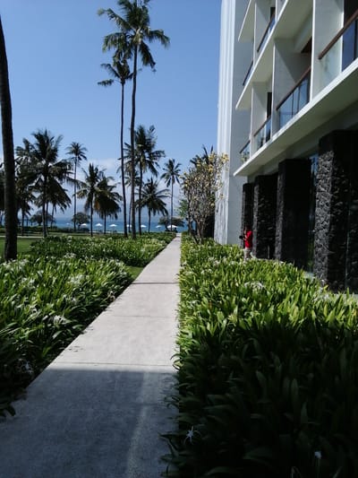 A concrete pathway curves through lush green foliage with white flowers, leading towards a modern white building with dark stone accents. Tall palm trees are visible in the background, framing a body of water and a clear blue sky. A person in a red shirt stands near the building, looking at their phone. The scene suggests a tropical resort or hotel in Banyuwangi, Indonesia, likely near the coast.