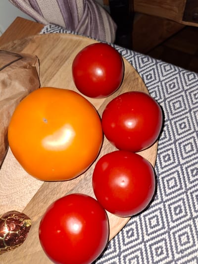 The image depicts a close-up, overhead view of several tomatoes arranged on a wooden board. The tomatoes vary in color, with one large, bright orange tomato dominating the left side of the frame, and four smaller, red tomatoes scattered around it. One of the red tomatoes is positioned above the orange one, another to its right, and two more below and to the right of the orange tomato. A small, crinkled, copper-colored object, possibly a piece of candy or a truffle, is visible to the lower left of the orange tomato. The wooden board has a visible grain pattern. The background consists of a textured, patterned cloth with a repeating diamond design in grey and white, and a portion of what appears to be a wooden surface, possibly a table or shelf, is visible at the top. The lighting suggests an indoor setting, with highlights reflecting off the smooth surfaces of the tomatoes. The specific location within Åsgårdstrand, Norway, is not discernible from the provided image.