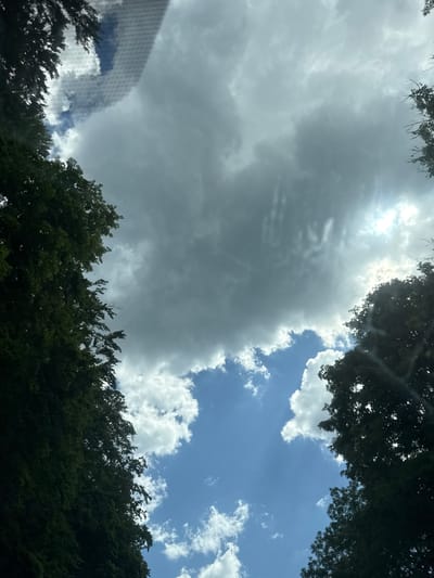 The image is a low-angle shot looking up at a sky filled with dramatic clouds and a bright sun. The top and bottom edges of the frame are dominated by dark green foliage from trees, suggesting a wooded area. Some of the foliage appears to be against a bright, textured surface, possibly a window screen or netting, on the left side of the image.
The sky is a mix of bright blue patches with fluffy white cumulus clouds and large, darker, more ominous gray storm clouds. Sunlight is filtering through the clouds, creating rays and highlighting some of the cloud formations. The overall impression of the sky is dynamic, with a transition between clear, sunny weather and approaching or lingering clouds.
The time of day appears to be daytime, likely mid-morning or afternoon, given the brightness of the sun. The weather seems mixed, with sunshine and clouds, potentially indicating a chance of rain or a recent shower. The location, Les Rousses, France, provides a general geographical context. There is no visible text in the image. The scene evokes a sense of natural beauty and the changing moods of the sky.