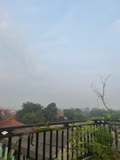 The image captures a view from a balcony overlooking a residential area. In the foreground, a black metal railing supports several plants, including a dragon fruit plant with its segmented stems and a few other leafy green plants. A dry, bare tree branch with curly twigs extends from the right side of the frame, reaching towards the hazy sky.
Beyond the balcony, rooftops of houses with red tiles are visible, interspersed with lush green trees. The environment appears to be a suburban or semi-urban setting, with a layer of haze obscuring the distant buildings and a radio tower. The sky is overcast with soft, pale blue and grey clouds, suggesting an early morning or a misty day. There are no people or visible human activity in the frame. The overall scene depicts a peaceful, tranquil view of a neighborhood under a subdued sky. The image was likely taken in Pasir Gadung, Indonesia, as indicated by the architectural style of the houses and the vegetation.