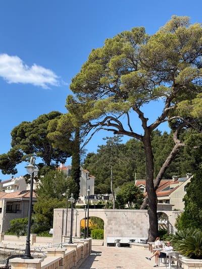 The image shows a partially obscured view of Meljine, Montenegro, under a bright blue sky with scattered clouds. A large tree with dense green foliage dominates the left side of the frame. Its branches extend towards buildings with red-tiled roofs and light-colored facades. A stone pathway lined with street lamps and brick walls leads towards a seating area where two people are sitting at a table. Other trees and greenery are visible in the background.