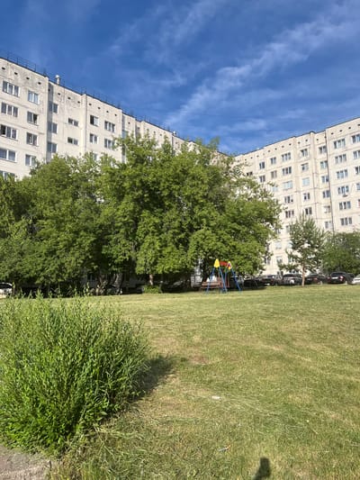 The image depicts a residential courtyard in Sosnovoborsk, Russia. A large, multi-story apartment building with a light-colored facade dominates the background. The building has numerous windows and a dark railing along its roofline. In front of the building, a dense cluster of mature green trees provides a significant portion of shade. To the left of the trees, a small children's playground with a swing set is visible. Parked cars are lined up along the base of the trees and in front of the building. The foreground features a well-maintained lawn, with a small, dense bush to the left. The sky is blue with scattered white clouds. The scene is bathed in bright daylight.