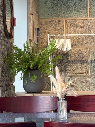 The image presents an indoor scene with a decorative focus. In the foreground, there is a potted fern with lush green foliage. Adjacent to the fern is a table with a vase containing dried floral arrangements. Also on the table, there's a stack of papers and a pen. In the background, the wall has a textured, stone-like appearance. A mirror and a small red box are situated near the base of the scene. The location is not explicitly indicated within the image and therefore cannot be determined.
