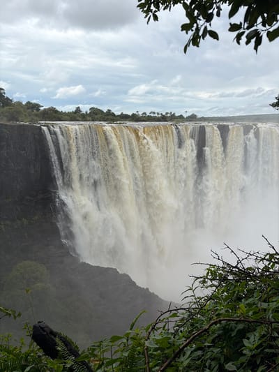 A powerful waterfall cascading over a cliff face creates a misty atmosphere. Lush green foliage frames the scene, with trees and leaves visible on either side. The water appears turbulent and frothy as it plunges downward. The sky overhead is overcast, with muted blues and grays, adding to the dramatic effect of the natural wonder.
