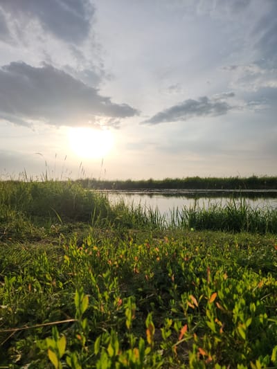 This is a vertically oriented, eye-level shot of a sunlit meadow adjacent to a body of water, likely a river or canal. The sun, a bright disc peeking through wispy clouds, illuminates the scene, suggesting it's either early morning or late afternoon. The sky is a soft blue, transitioning to a pale yellow near the horizon where the sun is setting or rising.

To the right of the frame, a dense, vibrant green meadow stretches upwards. The grass is tall and lush, interspersed with smaller plants and some leaves showing hints of orange and red, indicating a possible transition into autumn. The meadow appears to be on the bank of a calm body of water that runs horizontally across the middle of the image. The water reflects the sky and the opposing bank, creating a mirror-like effect.

On the left side of the water, the bank is also lined with tall green grass, creating a natural divide. The overall mood is peaceful and serene, a snapshot of nature's beauty at a tranquil moment. There is no visible text in the image, and no people or specific objects are identifiable, making the focus entirely on the landscape. The location is identified as Atameken, Kazakhstan, which provides geographical context to this natural scene.