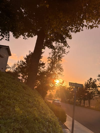 The image captures a street scene in Aliso Viejo, United States of America, during a sunset. The sky is a warm gradient of pink and orange, with scattered clouds. A large tree with dense foliage dominates the left foreground, casting shadows. To its left, the corner of a two-story house is visible. A neatly trimmed hedge lines the sloped embankment on the left side of the street.
A paved road curves into the distance, bordered by a sidewalk on the left. A street signpost stands on the sidewalk, displaying two street names: "LANTANA" and "HOPSEED". A silver pickup truck is parked on the shoulder of the road to the left, facing uphill. The sun is setting behind the trees on the right side of the frame, creating a lens flare and beams of light that illuminate the scene. The background shows a hilly landscape dotted with trees and fences, characteristic of suburban Southern California. The overall atmosphere is serene and warm, typical of a quiet evening in Aliso Viejo.