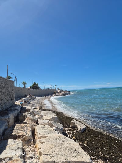 This image depicts a seaside view along the coast of Bisceglie, Italy. In the foreground, large, rough-hewn rocks line the shoreline, with smaller pebbles and some dark seaweed visible near the water's edge. A paved walkway runs parallel to the rocky area, lined with a low, stone-built wall topped with metal railings. Several palm trees are visible along the walkway, interspersed with streetlights.
Further down the coast, more people can be seen relaxing on the rocks and along the walkway, some lying down or sitting. The sea is a vibrant blue, with gentle waves lapping at the shore. The sky is clear and a deep blue, indicative of a sunny day. A timestamp in the lower left corner reads "3:43 PM." The overall scene suggests a public area in Bisceglie, likely a promenade or a recreational space designed to enjoy the coastal environment.