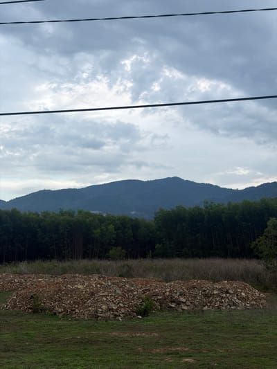 The image shows a rural landscape with a pile of rubble in the foreground. In the middle ground, there is a dense line of trees, and behind the trees, a mountain range is visible under a cloudy sky. Three parallel power lines stretch across the top of the frame. The scene appears to be located in or near Dien Tho, Vietnam, suggesting a natural setting with some man-made elements. No people or animals are visible in the image.