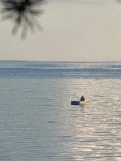 A person sits in a small, dark-colored boat on a calm body of water. The person is wearing a dark jacket. The water is a pale blue with subtle horizontal ripples and reflections. In the distance, a faint horizon line separates the water from a pale, hazy sky. In the upper left corner of the image, a blurred, dark object with a starburst shape is visible, possibly a tree branch or pine needles, out of focus. The overall scene appears serene and still, with a muted color palette. The image is likely taken at Fort Krasnaya Gorka, Russia, given the context.
