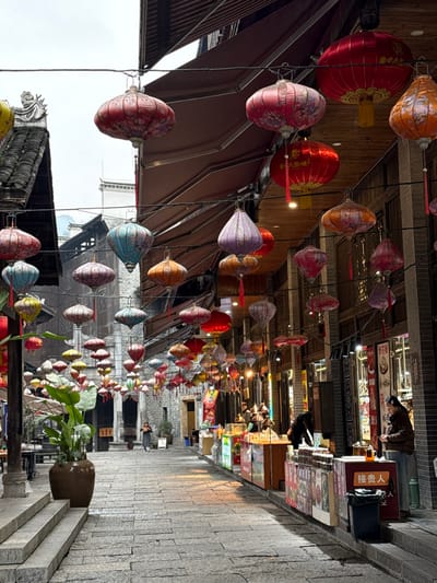 The image displays a narrow, flagstone-paved street or market alleyway in Pengshui Miao and Tujia Autonomous County, China, viewed under an overcast sky. The street is densely adorned with numerous traditional Chinese lanterns of various colors (including red, orange, pink, blue, green, purple, and yellow), shapes (primarily drum and elongated oval), and patterns, strung across overhead to form a decorative canopy. Many lanterns feature tassels, and some are visibly illuminated.
On the left side of the street, traditional multi-story buildings with dark wooden facades and grey tiled roofs are visible. In the foreground on the left, a large green potted plant in a dark brown ceramic pot rests on a raised stone platform. Further down this side, glimpses of outdoor seating areas with tables are present.
The right side of the street is lined with market stalls and shopfronts, set against buildings with dark wooden and stone or brick elements. Awnings extend over several of these stalls. Goods are displayed, and some stalls are brightly lit with artificial light. In the foreground on the right, a person in a brown jacket and light pants stands behind a market stall, looking down at an object on the counter. A black waste bin is positioned next to this stall, which features a Chinese sign partially visible as "接费人". Further into the midground on the right, several indistinct figures are visible near other market stalls.
In the center-midground, a lone individual walks away from the camera, further down the paved street. The street surface consists of large, irregular flagstones.