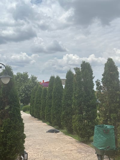 The image shows a cloudy sky over a row of evergreen trees, with a paved walkway in the foreground. To the right, a green garden cart with handles is visible, and further down the walkway, a black garden hose is coiled and hanging on the wall. A street lamp with a white shade stands near the bottom left of the image. In the background, a hint of colored roofs of a building is visible behind the trees. The scene appears to be an outdoor garden or park area, likely in Radievo, Bulgaria. The lighting suggests it is daytime, with overcast weather. There is no visible text in the image.