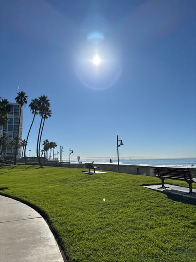 Bright sunny day at the beach. The blue sky is almost clear with the sun high in the sky. A building with palm trees lines the bottom left of the photo. Benches and light posts line a green lawn beside the beach. A sidewalk curves around the edge of the lawn. The ocean is in the background with gentle waves.