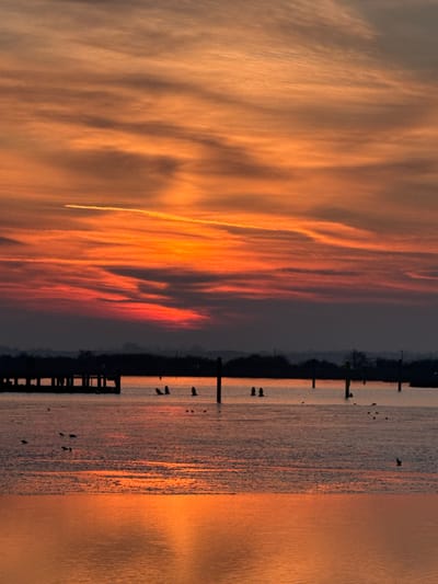 The scene depicts a waterscape in Broadland, United Kingdom, at either sunrise or sunset. The sky is dominated by intense orange, red, and yellow hues, with elongated, wispy clouds stretching horizontally across the upper two-thirds of the frame. A single, distinct white contrail is visible in the upper-mid-left sky. Below the vibrant sky, a dark, silhouetted strip of distant land, likely forested, runs along the horizon. The foreground and midground consist of calm, reflective water, mirroring the sky's fiery colors, particularly in the lower portion of the image. On the far left, a dark, silhouetted timber structure, resembling a dock or pier, extends partially into the water. Several dark, vertical posts are scattered across the water in the midground, serving as markers or mooring points. Numerous small, dark birds are scattered across the water's surface, appearing as silhouettes against the reflective water. No human figures or discernible actions or interactions are present.