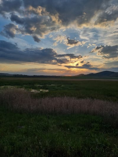 The image depicts a landscape scene at sunset in Aldomirovtsi, Bulgaria. The sky is filled with dramatic clouds, ranging in color from dark gray to light blue with golden highlights where the sun is setting. The sun's rays break through the clouds, creating a radiant effect. Below the sky, a flat expanse of green field stretches towards a distant mountain range on the horizon. A dirt path runs along the right side of the image, bordered by grass and vegetation. The scene conveys a sense of serenity and natural beauty. There are no people visible in the image.