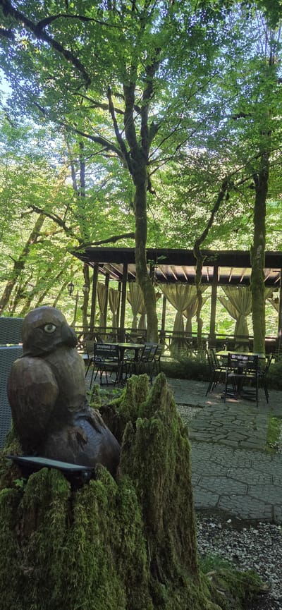 A wooden carving of a bird sits on a moss-covered stump in the foreground, facing left. Behind the carving, a paved patio area features several tables and chairs. A covered pavilion with draped curtains spans the background, suggesting an outdoor seating area for a cafe or restaurant. The scene is set amidst a lush, green forest with tall trees overhead, indicating a natural, wooded environment. The image appears to be taken during daylight. There are no people or animals visible in the frame.