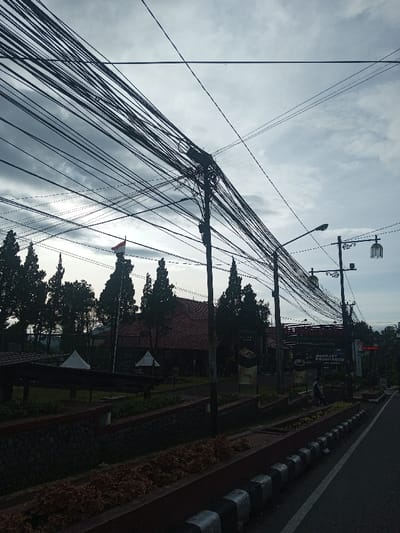 A multitude of overhead cables crisscross a cloudy sky above a street scene. Utility poles support the tangled wires. Below, a roadside garden bed lines the asphalt. Across the street, dark silhouettes of tall trees stand behind a building with a red roof, a flag, and promotional signs. The scene captures a common urban landscape overlaid with a complex web of power lines.