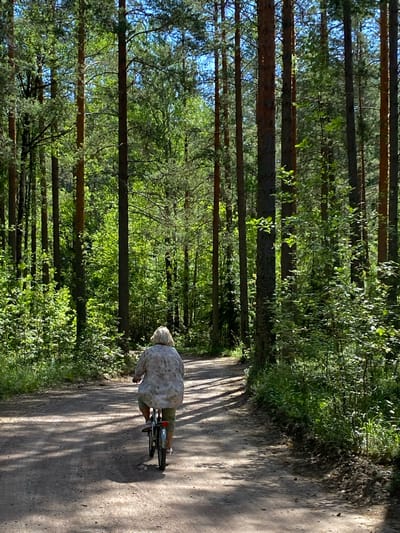 A person rides a bicycle on a dirt path through a dense pine forest. The cyclist is seen from behind, wearing a light-colored, patterned blouse and green pants. The path is dappled with sunlight filtering through the tall trees, casting shadows on the ground. The surrounding forest is lush and green, with dense undergrowth and tall pine trees forming a canopy overhead. The scene appears to be in Leipyasuo, Russia, known for its extensive pine forests. The overall atmosphere is one of peaceful recreation in a natural setting.