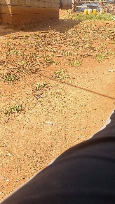 The scene depicts an outdoor, sunlit area in Muthambi ward, Kenya. The foreground and midground feature reddish-brown compacted earth with sparse clusters of green grass and numerous scattered dry twigs and small branches. A linear shadow crosses the ground diagonally from the upper right. Several small, white, elongated pieces of litter are visible on the dirt. In the bottom right corner, a dark fabric with a distinct white stripe, consistent with clothing, partially obscures the view, indicating the perspective is from an individual present in the scene. In the background on the left, the lower section of a building constructed from light brown, horizontally stacked blocks is visible. To the right of this structure, in the distant background, a rustic fence-like structure is present, and behind it, at least four bright yellow plastic jerrycans are arranged on the ground.