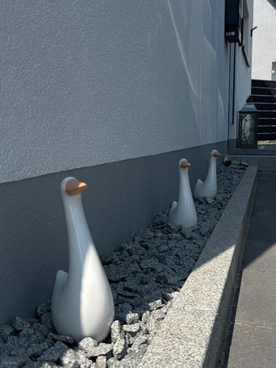 In Rudelzhausen, Germany, three white ceramic goose statues are arranged in a line along the base of a textured, light gray wall. The geese are positioned in a planter filled with dark gray gravel. The closest goose is in sharp focus, while the other two are progressively out of focus further down the line. To the right of the planter, a granite border separates it from a dark gray paved walkway. Beyond the walkway, stairs leading up to a building are visible, along with a black metal lantern and a section of a building with dark windows. The scene is illuminated by bright sunlight, casting shadows across the walkway and the geese.