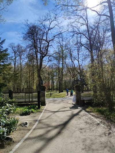 The image depicts a sunny day in Bayreuth, Germany. A paved pathway runs through a park-like setting, lined on one side with a low wooden fence. Behind the fence is greenery and a few gravestones. On the pathway, two people are walking towards the horizon, dressed in blue clothing. The foreground shows flowers and plants near the fence. Trees with bare branches stretch towards a bright blue sky. A line marks the edge of the path, near a couple stone sculptures.