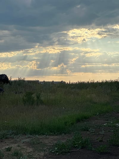 The image captures a rural landscape under a dramatic sky. In the foreground, a dirt path is visible, bordered by tall, dense green grass and some scattered low-lying plants. The middle ground features a field of overgrown grass and weeds, with the tops of some taller plants and the dark silhouette of a large agricultural tire on the left. In the distance, a long, low building complex with a light-colored roofline and some darker structures is visible, possibly farm buildings or industrial facilities. A fence line runs along the horizon behind the vegetation.
The sky is a prominent feature, filled with layers of clouds. Streaks of sunlight pierce through the clouds, creating visible crepuscular rays that illuminate the sky with a golden-yellow glow. The overall lighting suggests either sunrise or sunset, with the sun's rays breaking through overcast conditions. The environment appears to be a natural, undeveloped area, likely on the outskirts of a settlement. The specific location in Баягиз, Kazakhstan, is not visually identifiable from the image itself, but the scene is consistent with a rural or agricultural setting within the region. No people or animals are present in the image.