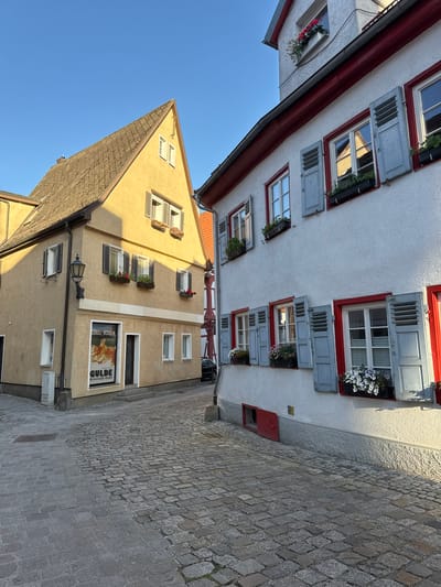 The image shows a view of a narrow cobblestone street in the historic old town of Esslingen am Neckar, Germany. Two buildings face each other across the street, bathed in the warm light of the late afternoon sun.

On the left is a tall, gabled building painted in a muted yellow. It has a steeply pitched tiled roof and several windows. The ground floor features a shop with a large window displaying an advertisement for "GULDE Brennstoffe GmbH" which appears to be a fuel supplier. A traditional streetlamp is mounted on the side of this building.

On the right is a white stucco building with a red-trimmed roofline. This building has multiple windows, many fitted with light blue shutters. Window boxes filled with colorful flowers adorn some of the windows. A small, bright red door is visible near the base of the building.

The cobblestone street is well-maintained and shows variations in the size and color of the stones, indicating its age and character. The clear blue sky suggests a pleasant day. The scene conveys a sense of historical charm and quiet urban life.