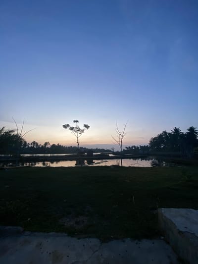 The image depicts a landscape in Kualaidi, Indonesia, likely at dusk or dawn given the light conditions. The sky transitions from a deep blue at the top to a lighter hue near the horizon. A body of water, possibly a river or lake, reflects the sky and the ambient light. Silhouetted trees, including palms, are present along the water's edge. A few bare trees are visible, with one prominently featuring branches that reach towards the sky. In the foreground, grass is visible, and a partial structure or wall appears on the right side of the frame. No people are visible in the image.