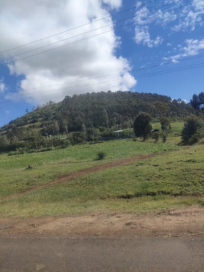 The image depicts a rural landscape within the Kibirichia ward of Kenya. A green hillside dominates the view, partially covered by a dense forest at the upper reaches. Below the forest, a field of green crops is visible, interspersed with trees and what appear to be residential structures. A dirt path winds across the lower grassy slopes. In the foreground is an unpaved roadside area that meets a paved road in the extreme lower portion of the view. Overhead, power lines stretch across a partly cloudy blue sky. No people are visible in the image.
