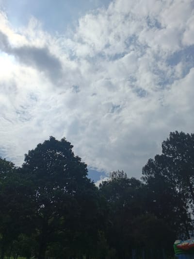 The image displays an outdoor scene in Tapaiteng Uesa, Bhutan, dominated by a cloudy sky above a treeline. The upper two-thirds of the frame show a sky filled with various white and grey clouds, primarily altocumulus and stratocumulus, with visible patches of pale blue sky. A brighter area in the upper left suggests the obscured sun. The lower third of the image is occupied by the dark silhouettes of numerous trees, appearing as dense foliage against the lighter sky. A large, broad-canopied deciduous tree is prominent on the left side of the lower frame. To its right, several coniferous trees with more pointed crowns and needle-like texture are visible. In the bottom right corner, a small portion of a colorful, possibly inflatable, object with red, blue, and green sections is discernible. No people or specific actions are visible.