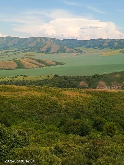 The image depicts a vast, rolling landscape under a partly cloudy sky. In the foreground, a dense, green hillside covered in foliage dominates the lower portion of the frame. This hill slopes downwards and away from the viewer.
Further into the middle ground, the terrain transitions to more open, undulating hills with patches of dry, golden-brown grass interspersed with dark green vegetation, suggesting a change in elevation and perhaps land use. Beyond these hills, a large, flat expanse of vibrant green, likely a cultivated field or pasture, stretches out.
In the background, a range of mountains forms the horizon. These mountains are characterized by their layered appearance, with slopes showing variations in color from light brown to green, indicative of varied vegetation and possibly exposed rock or soil. The peaks are softened by distance and covered in a mix of greenery and lighter hues.
The sky above is a pale blue, with large, puffy white clouds scattered across it, particularly prominent above the mountains. The lighting suggests daytime, likely afternoon, given the soft shadows and the brightness of the scene. A timestamp in the lower left corner reads "2026/06/28 14:04". The absence of any human figures or structures implies a natural, undeveloped setting. The overall impression is one of natural beauty and expansive rural scenery.