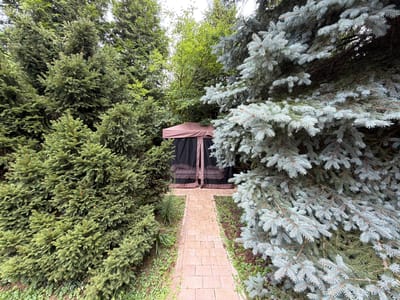 In Sannikovo, Russia, a paved walkway made of light brown bricks leads through a garden to a screened gazebo. The gazebo, with a brown canopy and black screening, is partially obscured by tall evergreen trees. To the left, a dense cluster of dark green spruce trees frames the path. To the right, a large blue spruce tree with striking silvery-blue needles dominates the foreground. The ground around the walkway is covered in small green plants and patches of reddish-purple ground cover. The sky is overcast, suggesting a cloudy day.
