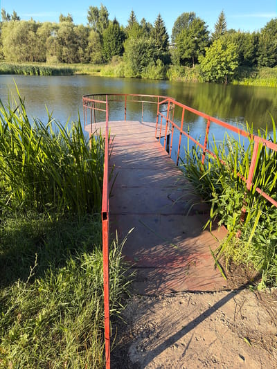 A metal pier with red railings extends into a body of water. Tall green grass and reeds surround the pier on the left and right. In the background, a dense line of trees forms a natural barrier along the far bank of the water. The sky above is clear and blue. The scene appears to be in a rural or natural setting, possibly near the village of Pobedinka, Russia, given the style of vegetation and the clear water.