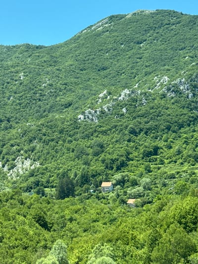The image shows a mountainous landscape in the vicinity of Vrela, Montenegro. The terrain is covered with dense, lush green vegetation, primarily trees, that extends up the slopes of a large mountain. The sky above is a clear, bright blue. In the mid-ground, nestled within the greenery, are two small houses. The house on the left appears to be a light-colored building with a dark roof. The house on the right has a reddish-orange roof. There are no people visible in the image. The environment suggests a rural, possibly mountainous, setting with some scattered dwellings. The overall impression is one of natural beauty and a peaceful, secluded atmosphere.