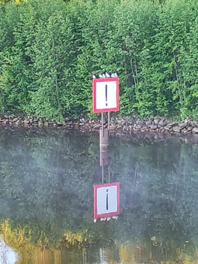 This media file captures a tranquil scene at Volokov Most, Russia, during clear daytime conditions. In the center, a square white sign with a distinct red border and a bold black exclamation mark is erected on a dark brown pole emerging from the water. Several small white birds are perched on the top edge of this sign.
The calm, dark green water beautifully reflects the sign, creating an inverted image below the surface. The background features a dense expanse of vibrant green foliage, likely trees or bushes, lining the water's edge. A visible rocky embankment forms the transition between the vegetation and the water. The smoothness of the water and the clarity of the reflections suggest calm weather. The exclamation mark on the sign serves as a prominent navigational or warning signal for the waterway. No human activity is visible, contributing to the peaceful and natural ambiance of the setting.