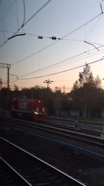 This is a medium-shot, eye-level photograph of a train yard at dusk in Volkhov, Russia, likely on the outskirts of the city given the presence of industrial infrastructure and vegetation. The sky displays a soft gradient of pale blue and peach, typical of twilight. Overhead, a complex network of electrical catenary wires crisscrosses the frame, supported by poles and insulators. A sign with the number "182" is visible on one of the wires.

In the foreground, multiple parallel train tracks recede into the distance, laid on ballast. A blue pipe runs along the ground between two sets of tracks. In the middle ground, a red and grey diesel locomotive is stationary on one of the tracks, its headlights illuminated. The locomotive has Cyrillic lettering on its side, reading "ТПЛ". Behind the locomotive, a dense line of trees forms a dark backdrop, with some lighter, slender trees interspersed. A utility pole with multiple insulators stands among the trees. Beyond the trees, indistinct buildings or structures are visible. The overall scene conveys a sense of industrial calm as day transitions to night. No people are clearly visible in the image.
