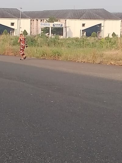A woman in a patterned dress walks along a paved road in Ogboko, Nigeria. Behind her is a building complex that includes a sign reading "Faculty of Basic Medical Science" and "Faculty of Science." The road is in the foreground and there is some shrubbery and grass on the side of the road between the pavement and the building. The day appears to be clear with good lighting.